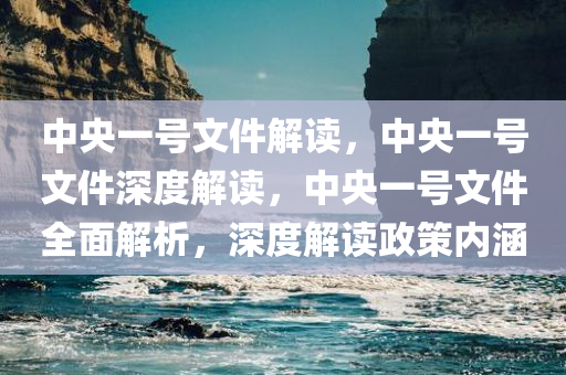 中央一号文件解读，中央一号文件深度解读，中央一号文件全面解析，深度解读政策内涵