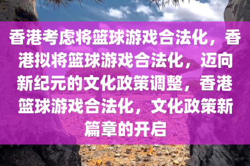 香港考虑将篮球游戏合法化，香港拟将篮球游戏合法化，迈向新纪元的文化政策调整，香港篮球游戏合法化，文化政策新篇章的开启