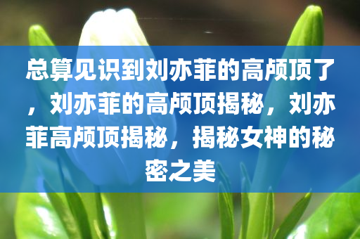 总算见识到刘亦菲的高颅顶了，刘亦菲的高颅顶揭秘，刘亦菲高颅顶揭秘，揭秘女神的秘密之美