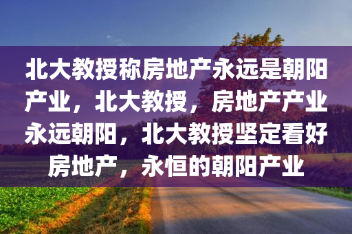 北大教授称房地产永远是朝阳产业，北大教授，房地产产业永远朝阳，北大教授坚定看好房地产，永恒的朝阳产业