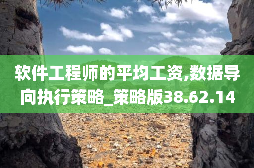 软件工程师的平均工资,数据导向执行策略_策略版38.62.14