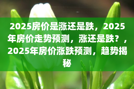 2025房价是涨还是跌，2025年房价走势预测，涨还是跌？，2025年房价涨跌预测，趋势揭秘