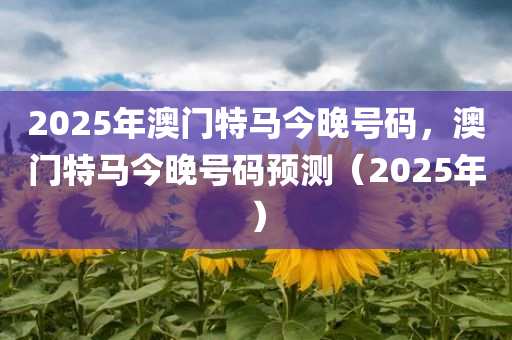 2025年澳门特马今晚号码，澳门特马今晚号码预测（2025年）