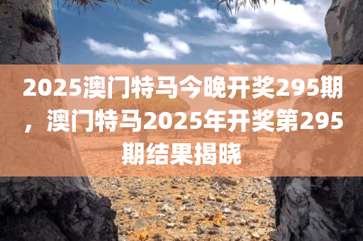 2025澳门特马今晚开奖295期，澳门特马2025年开奖第295期结果揭晓