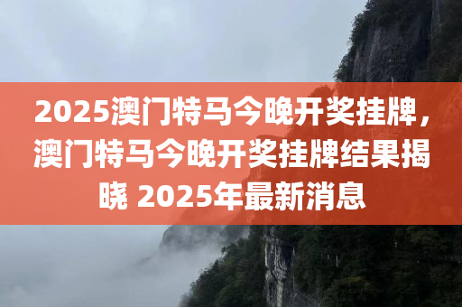 2025澳门特马今晚开奖挂牌，澳门特马今晚开奖挂牌结果揭晓 2025年最新消息