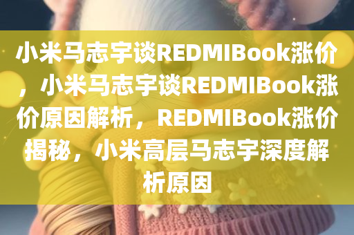 小米马志宇谈REDMIBook涨价，小米马志宇谈REDMIBook涨价原因解析，REDMIBook涨价揭秘，小米高层马志宇深度解析原因