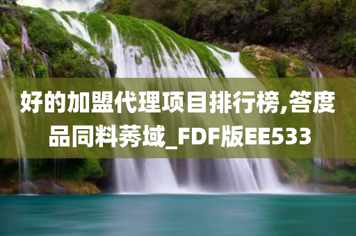 好的加盟代理项目排行榜,答度品同料莠域_FDF版EE533