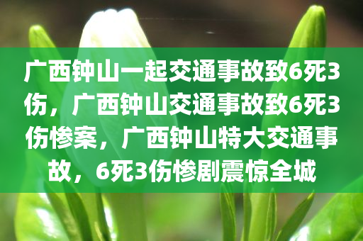 广西钟山一起交通事故致6死3伤，广西钟山交通事故致6死3伤惨案，广西钟山特大交通事故，6死3伤惨剧震惊全城