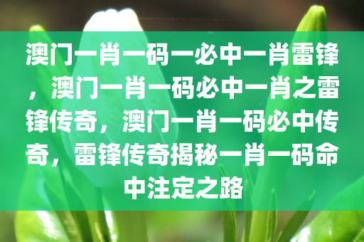 澳门一肖一码一必中一肖雷锋，澳门一肖一码必中一肖之雷锋传奇，澳门一肖一码必中传奇，雷锋传奇揭秘一肖一码命中注定之路