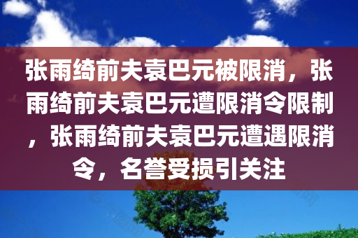 张雨绮前夫袁巴元被限消，张雨绮前夫袁巴元遭限消令限制，张雨绮前夫袁巴元遭遇限消令，名誉受损引关注