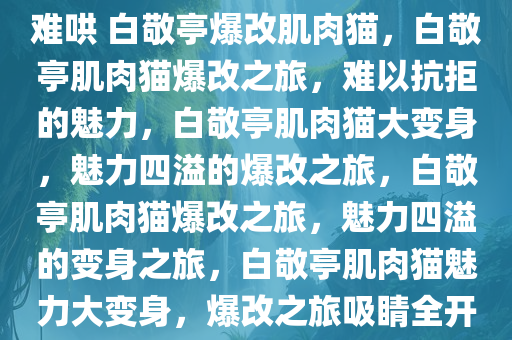 难哄 白敬亭爆改肌肉猫，白敬亭肌肉猫爆改之旅，难以抗拒的魅力，白敬亭肌肉猫大变身，魅力四溢的爆改之旅，白敬亭肌肉猫爆改之旅，魅力四溢的变身之旅，白敬亭肌肉猫魅力大变身，爆改之旅吸睛全开