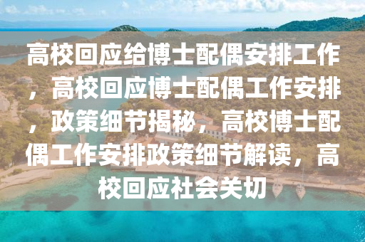 高校回应给博士配偶安排工作，高校回应博士配偶工作安排，政策细节揭秘，高校博士配偶工作安排政策细节解读，高校回应社会关切