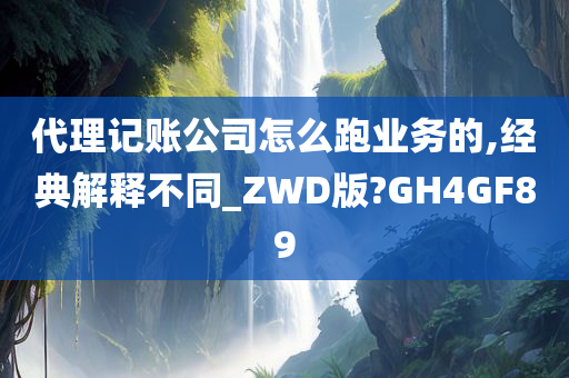 代理记账公司怎么跑业务的,经典解释不同_ZWD版?GH4GF89