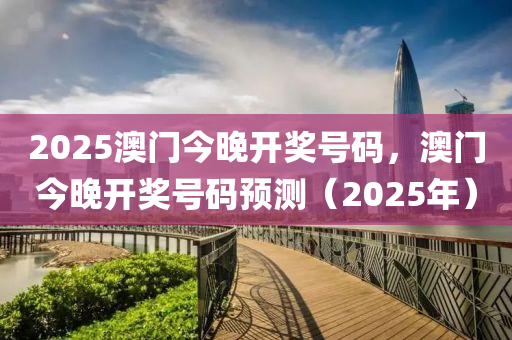 2025澳门今晚开奖号码，澳门今晚开奖号码预测（2025年）