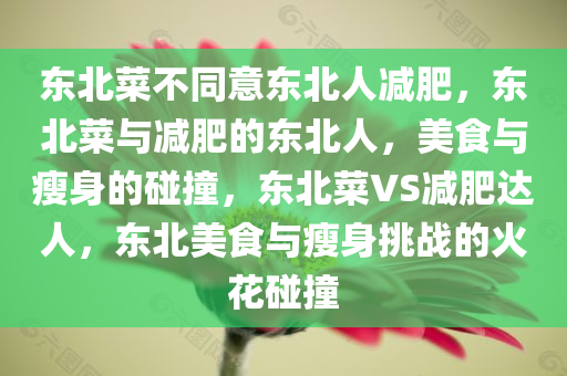 东北菜不同意东北人减肥，东北菜与减肥的东北人，美食与瘦身的碰撞，东北菜VS减肥达人，东北美食与瘦身挑战的火花碰撞