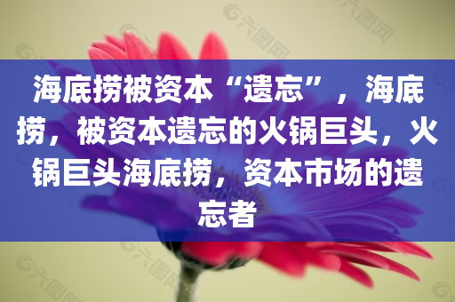 海底捞被资本“遗忘”，海底捞，被资本遗忘的火锅巨头，火锅巨头海底捞，资本市场的遗忘者