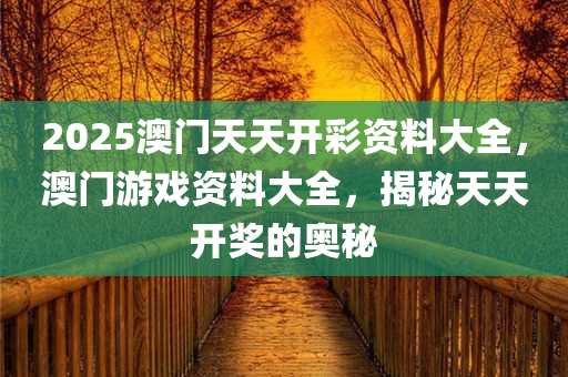 2025澳门天天开彩资料大全，澳门游戏资料大全，揭秘天天开奖的奥秘