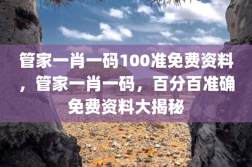 管家一肖一码100准免费资料，管家一肖一码，百分百准确免费资料大揭秘