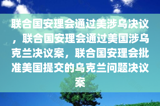 联合国安理会通过美涉乌决议，联合国安理会通过美国涉乌克兰决议案，联合国安理会批准美国提交的乌克兰问题决议案