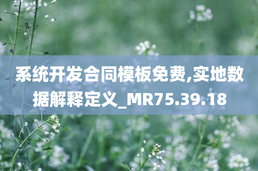 系统开发合同模板免费,实地数据解释定义_MR75.39.18