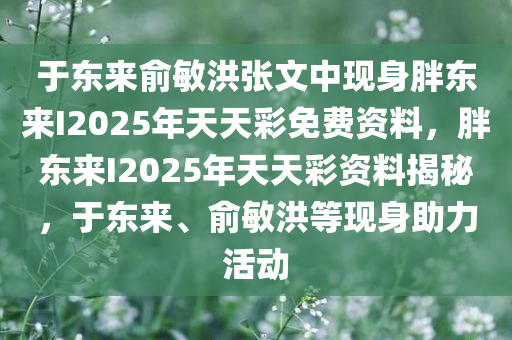 于东来俞敏洪张文中现身胖东来I2025年天天彩免费资料，胖东来I2025年天天彩资料揭秘，于东来、俞敏洪等现身助力活动