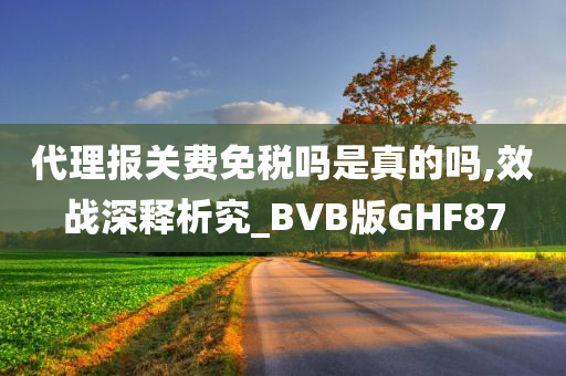 代理报关费免税吗是真的吗,效战深释析究_BVB版GHF87