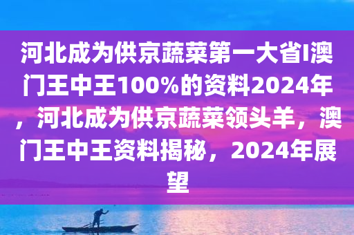 河北成为供京蔬菜第一大省I澳门王中王100%的资料2024年，河北成为供京蔬菜领头羊，澳门王中王资料揭秘，2024年展望