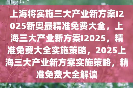 上海将实施三大产业新方案I2025新奥最精准免费大全，上海三大产业新方案I2025，精准免费大全实施策略，2025上海三大产业新方案实施策略，精准免费大全解读