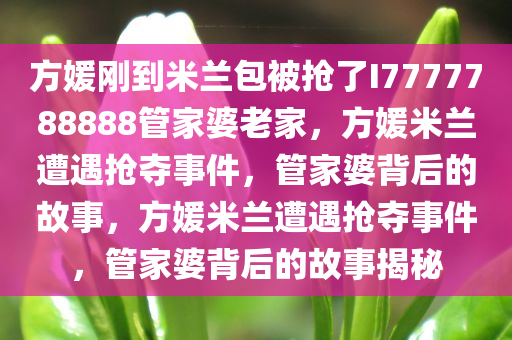 方媛刚到米兰包被抢了I7777788888管家婆老家，方媛米兰遭遇抢夺事件，管家婆背后的故事，方媛米兰遭遇抢夺事件，管家婆背后的故事揭秘