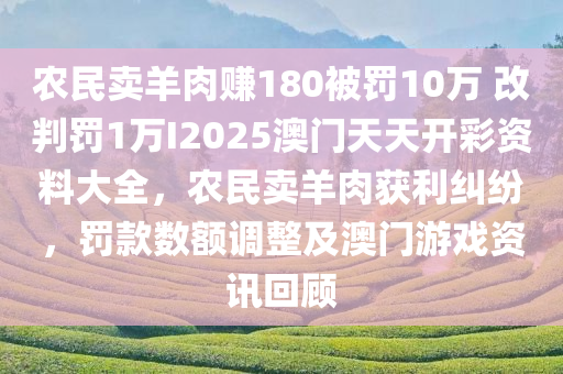 农民卖羊肉赚180被罚10万 改判罚1万I2025澳门天天开彩资料大全，农民卖羊肉获利纠纷，罚款数额调整及澳门游戏资讯回顾