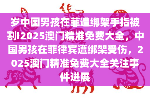 岁中国男孩在菲遭绑架手指被割I2025澳门精准免费大全，中国男孩在菲律宾遭绑架受伤，2025澳门精准免费大全关注事件进展