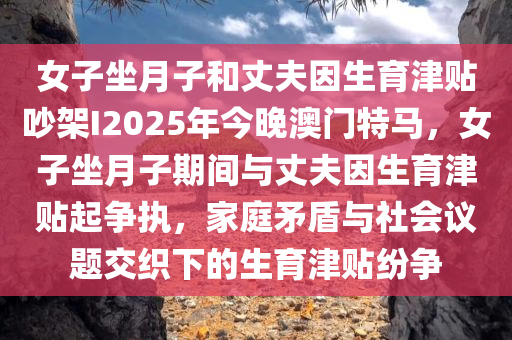 女子坐月子和丈夫因生育津贴吵架I2025年今晚澳门特马，女子坐月子期间与丈夫因生育津贴起争执，家庭矛盾与社会议题交织下的生育津贴纷争