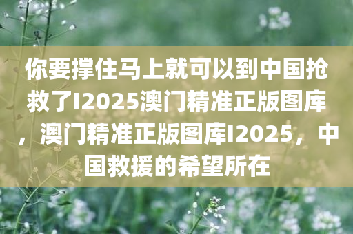 你要撑住马上就可以到中国抢救了I2025澳门精准正版图库，澳门精准正版图库I2025，中国救援的希望所在