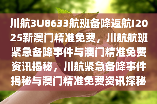 川航3U8633航班备降返航I2025新澳门精准免费，川航航班紧急备降事件与澳门精准免费资讯揭秘，川航紧急备降事件揭秘与澳门精准免费资讯探秘