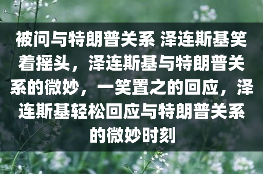 被问与特朗普关系 泽连斯基笑着摇头，泽连斯基与特朗普关系的微妙，一笑置之的回应，泽连斯基轻松回应与特朗普关系的微妙时刻