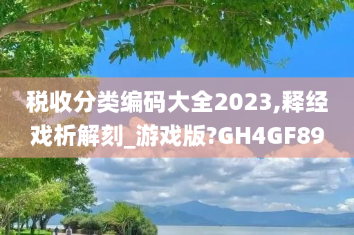 税收分类编码大全2023,释经戏析解刻_游戏版?GH4GF89