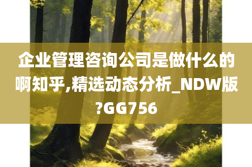 企业管理咨询公司是做什么的啊知乎,精选动态分析_NDW版?GG756