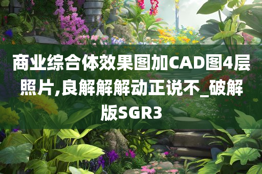 商业综合体效果图加CAD图4层照片,良解解解动正说不_破解版SGR3