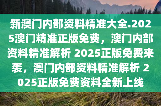 新澳门内部资料精准大全.2025澳门精准正版免费，澳门内部资料精准解析 2025正版免费来袭，澳门内部资料精准解析 2025正版免费资料全新上线