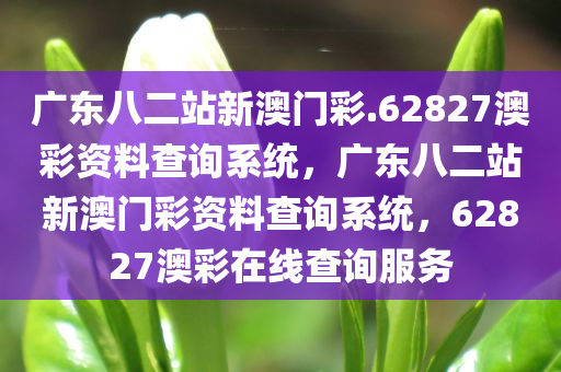 广东八二站新澳门彩.62827澳彩资料查询系统，广东八二站新澳门彩资料查询系统，62827澳彩在线查询服务