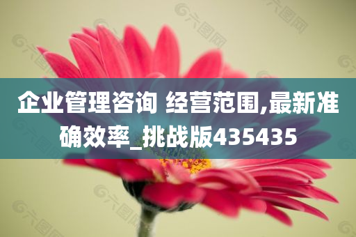 企业管理咨询 经营范围,最新准确效率_挑战版435435