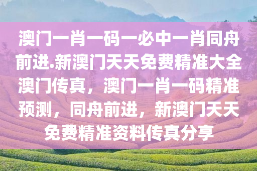 澳门一肖一码一必中一肖同舟前进.新澳门天天免费精准大全澳门传真，澳门一肖一码精准预测，同舟前进，新澳门天天免费精准资料传真分享