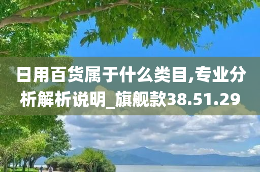 日用百货属于什么类目,专业分析解析说明_旗舰款38.51.29