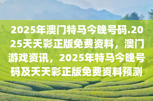 2025年澳门特马今晚号码.2025天天彩正版免费资料，澳门游戏资讯，2025年特马今晚号码及天天彩正版免费资料预测