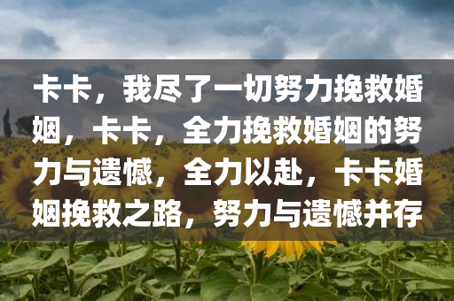 卡卡，我尽了一切努力挽救婚姻，卡卡，全力挽救婚姻的努力与遗憾，全力以赴，卡卡婚姻挽救之路，努力与遗憾并存