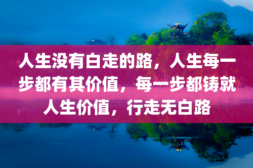 人生没有白走的路，人生每一步都有其价值，每一步都铸就人生价值，行走无白路