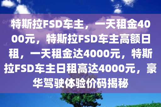 特斯拉FSD车主，一天租金4000元，特斯拉FSD车主高额日租，一天租金达4000元，特斯拉FSD车主日租高达4000元，豪华驾驶体验价码揭秘