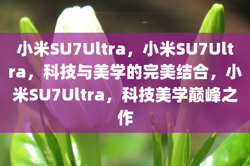 小米SU7Ultra，小米SU7Ultra，科技与美学的完美结合，小米SU7Ultra，科技美学巅峰之作