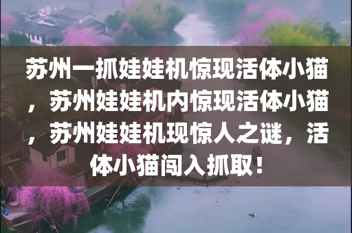 苏州一抓娃娃机惊现活体小猫，苏州娃娃机内惊现活体小猫，苏州娃娃机现惊人之谜，活体小猫闯入抓取！