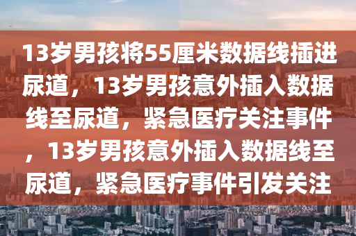 13岁男孩将55厘米数据线插进尿道，13岁男孩意外插入数据线至尿道，紧急医疗关注事件，13岁男孩意外插入数据线至尿道，紧急医疗事件引发关注